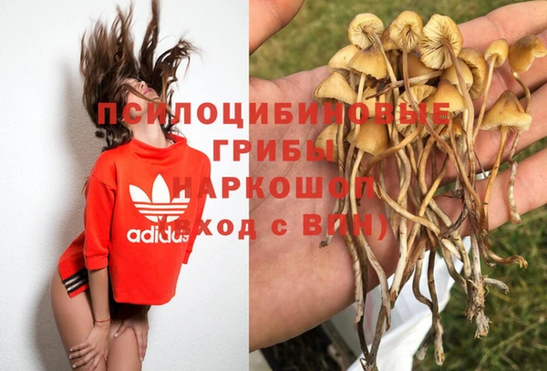 шишки Армянск