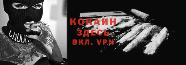соль ск Болотное