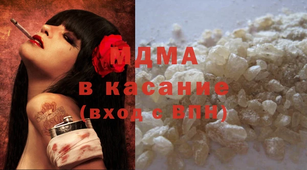 хмурый Аркадак
