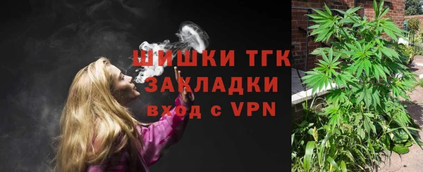 хмурый Аркадак