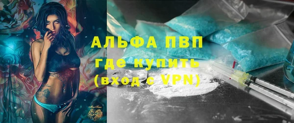 стаф Снежногорск