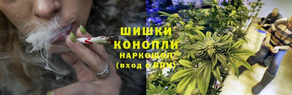 хмурый Аркадак