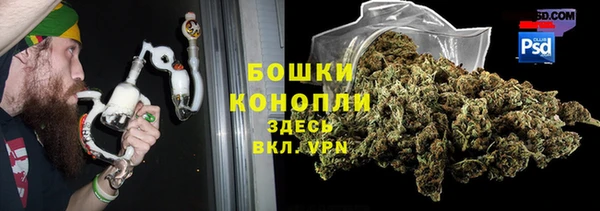 шишки Армянск