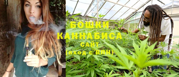 хмурый Аркадак