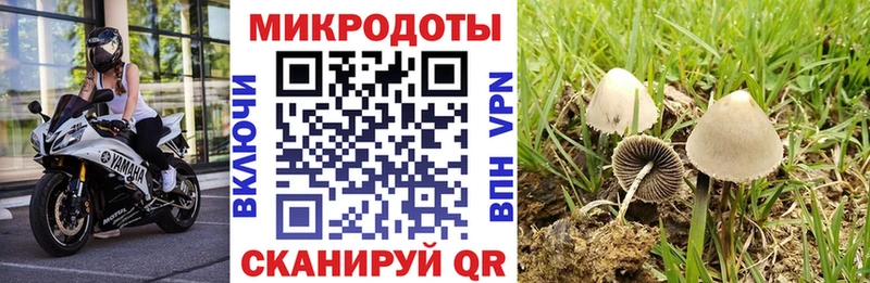 Псилоцибиновые грибы прущие грибы что такое наркотик Урюпинск
